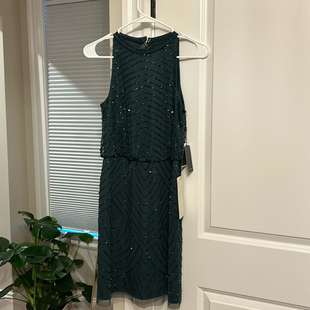 Beautiful new with tags Adrianna papell cocktail dress